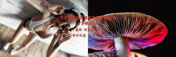 ПСИЛОЦИБИНОВЫЕ ГРИБЫ Армянск