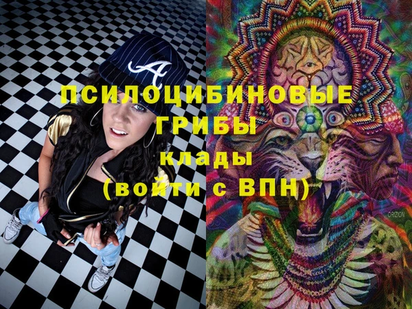 ПСИЛОЦИБИНОВЫЕ ГРИБЫ Армянск