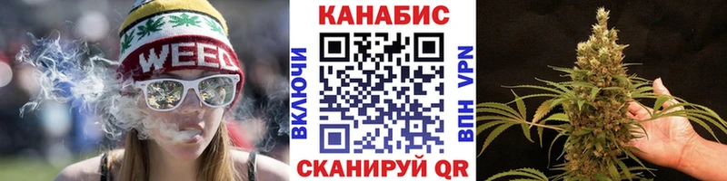 omg как войти  Олонец  Канабис сатива 
